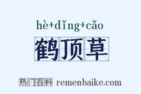 鹤顶草是什么意思的图片